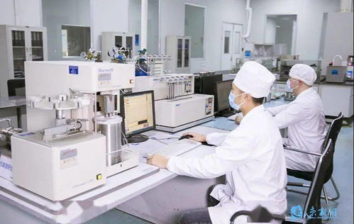 新華日報(bào)頭版頭條點(diǎn)贊宿遷 電子專用材料研發(fā)引領(lǐng)產(chǎn)業(yè)創(chuàng)新